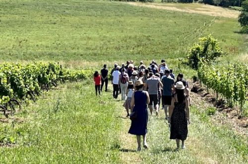 LES BALADES CONTÉES DE L’ÉTÉ